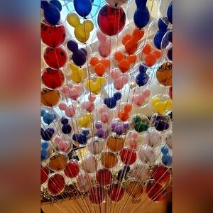 BUNDLE ✨️✨️✨️